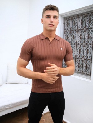 Brown Blakely Sidi Textured Stripe Polo | GNZ573269