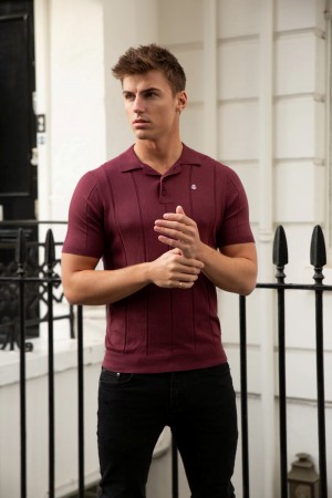 Burgundy Blakely Finsbury Polo Shirt | NOC215307