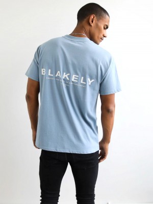 Ice Blue Blakely Statement Relaxed T-Shirt | TNY018324