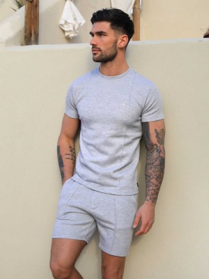 Light Grey Blakely Amezri Seamline T-Shirt | TFO468352